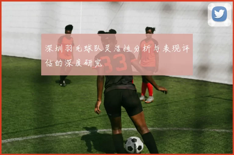 深圳羽毛球队灵活性分析与表现评估的深度研究