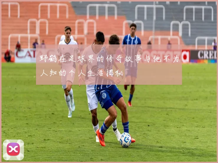 野鹤在足球界的传奇故事与他不为人知的个人生活揭秘