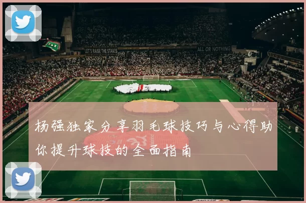 杨强独家分享羽毛球技巧与心得助你提升球技的全面指南