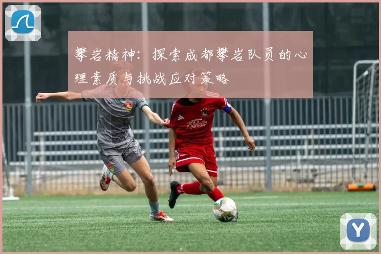攀岩精神：探索成都攀岩队员的心理素质与挑战应对策略