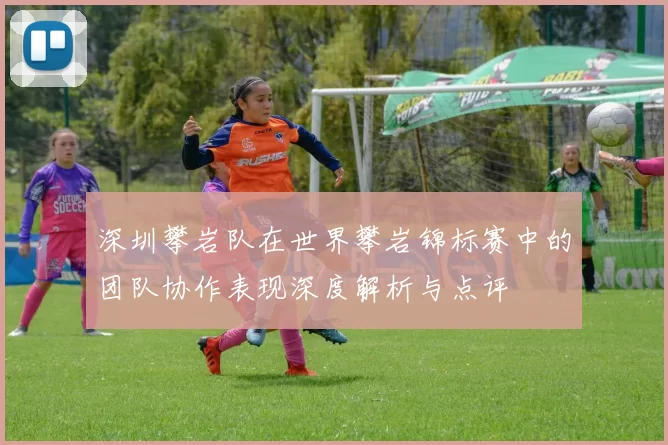 深圳攀岩队在世界攀岩锦标赛中的团队协作表现深度解析与点评