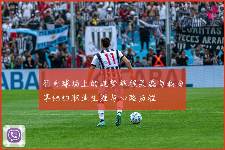羽毛球场上的追梦旅程吴磊与我分享他的职业生涯与心路历程