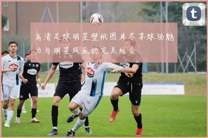 高清足球明星壁纸图库尽享球场魅力与明星风采的完美结合
