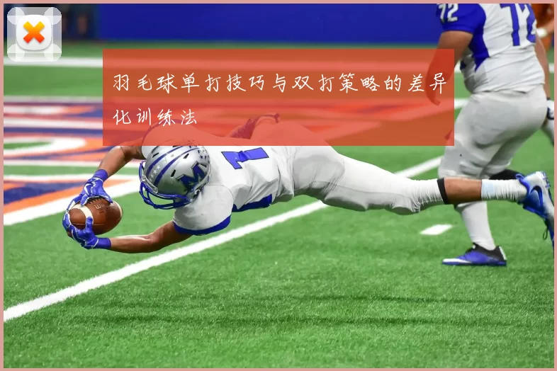 羽毛球单打技巧与双打策略的差异化训练法