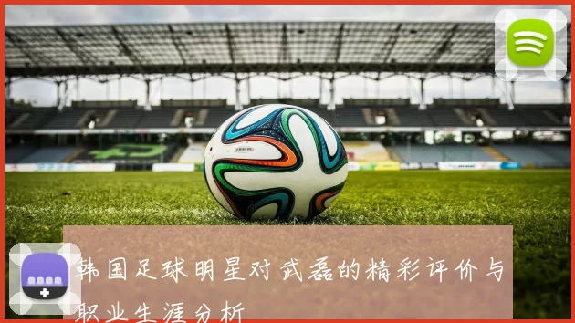 韩国足球明星对武磊的精彩评价与职业生涯分析