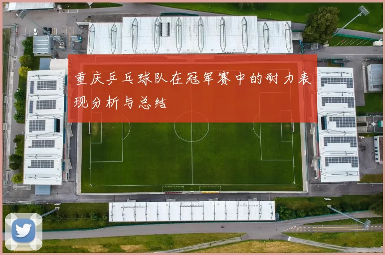 重庆乒乓球队在冠军赛中的耐力表现分析与总结