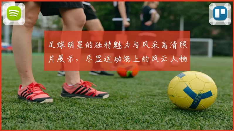 足球明星的独特魅力与风采高清照片展示，尽显运动场上的风云人物