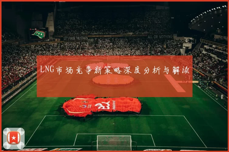 LNG市场竞争新策略深度分析与解读
