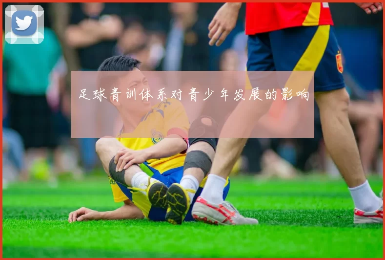 足球青训体系对青少年发展的影响