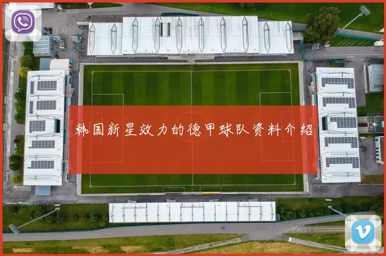 韩国新星效力的德甲球队资料介绍