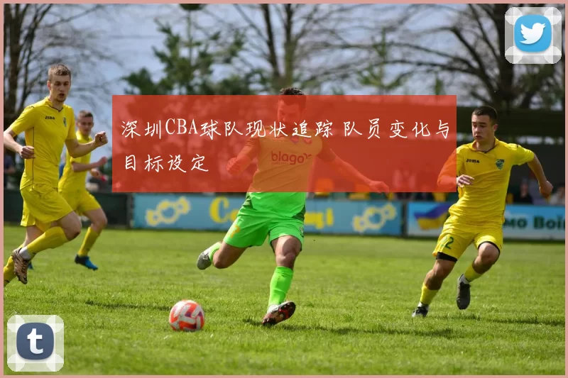 深圳CBA球队现状追踪 队员变化与目标设定