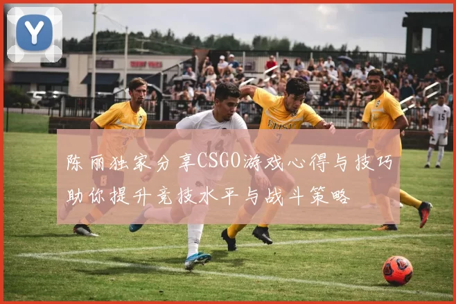 陈丽独家分享CSGO游戏心得与技巧助你提升竞技水平与战斗策略