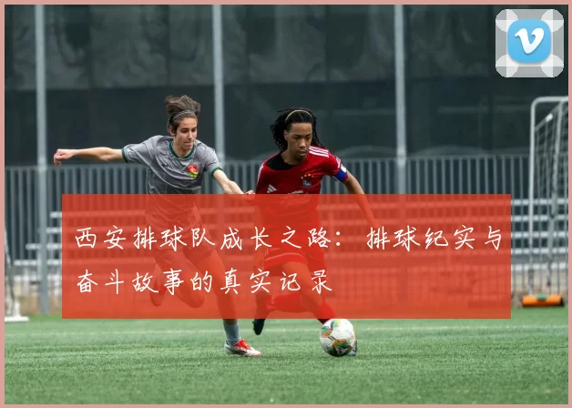 西安排球队成长之路：排球纪实与奋斗故事的真实记录