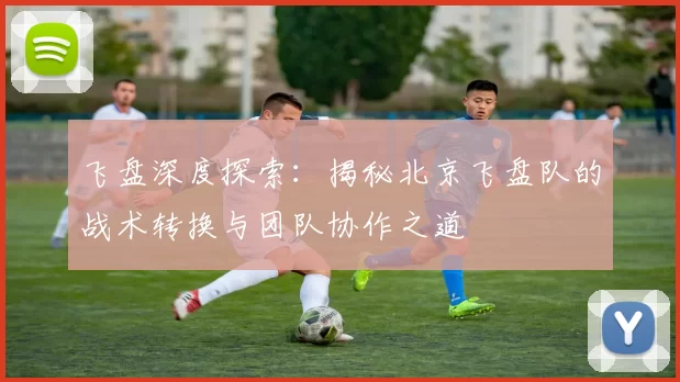 飞盘深度探索：揭秘北京飞盘队的战术转换与团队协作之道