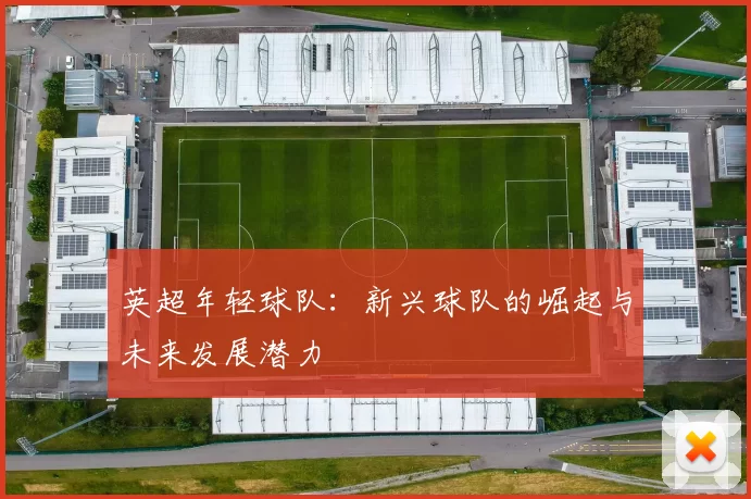 英超年轻球队：新兴球队的崛起与未来发展潜力