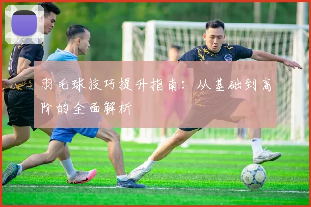 羽毛球技巧提升指南：从基础到高阶的全面解析