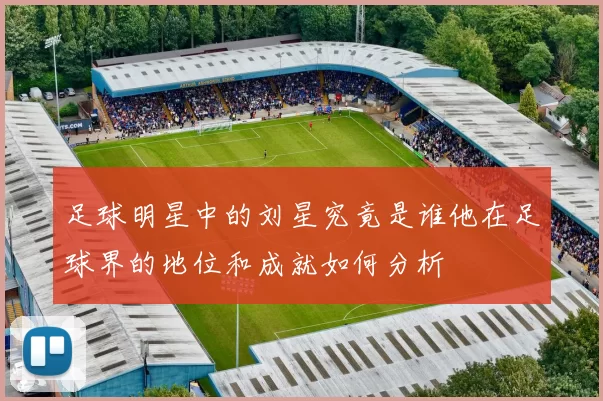 足球明星中的刘星究竟是谁他在足球界的地位和成就如何分析