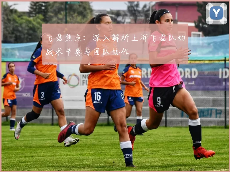 飞盘焦点：深入解析上海飞盘队的战术节奏与团队协作