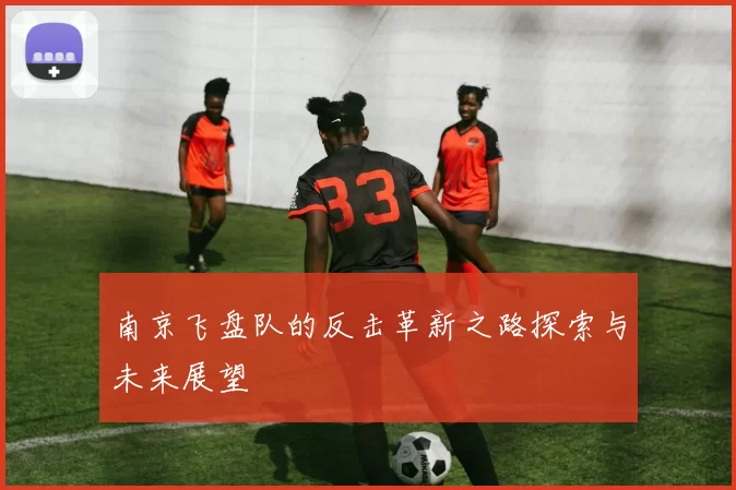 南京飞盘队的反击革新之路探索与未来展望