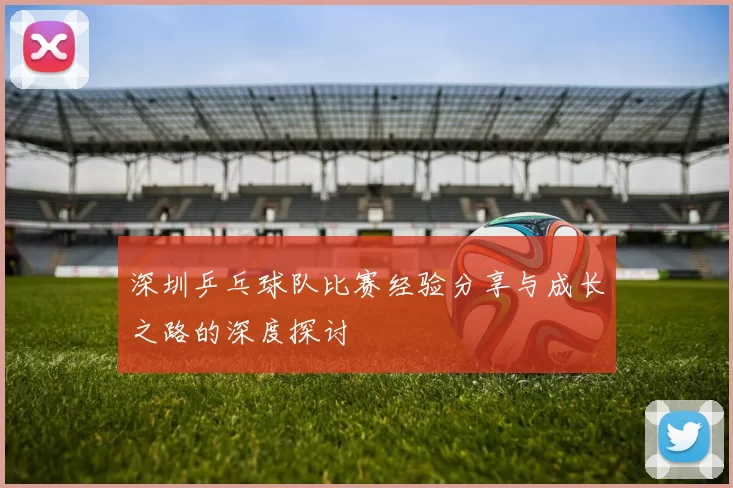 深圳乒乓球队比赛经验分享与成长之路的深度探讨