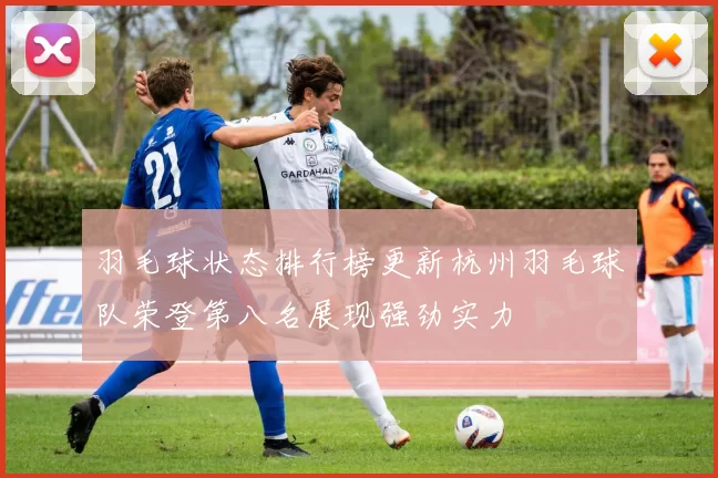 羽毛球状态排行榜更新杭州羽毛球队荣登第八名展现强劲实力
